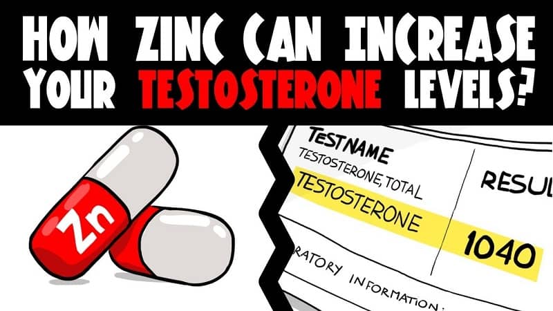 Zinc and Testosterone 