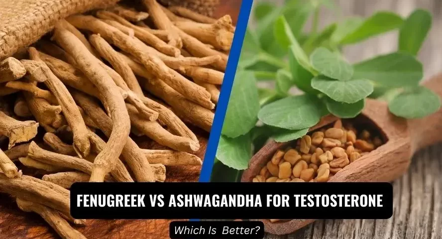 fenugreek vs ashwagandha for testosterone