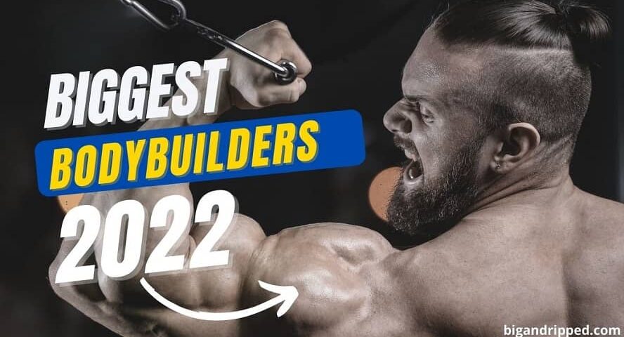 Top 15 Biggest Bodybuilders Of All Time [Editor’s Pick]