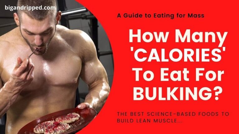 How Many Calories Should I Eat To Gain Lean Muscle Archives ...