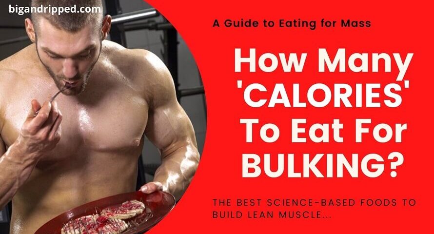 How Many Calories For Bulking? Guide On Eating For Lean Muscle