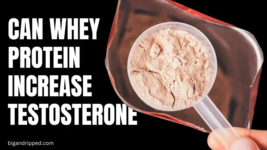 Can Whey Protein Increase Testosterone? Scientific Evidence