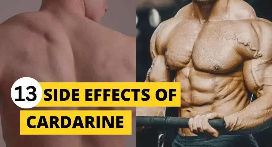 cardarine side effects