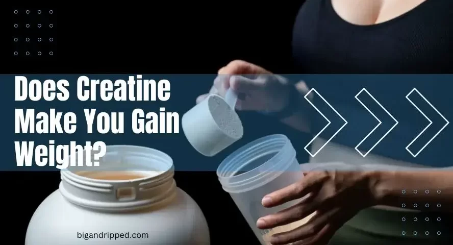 does creatine make you gain weight