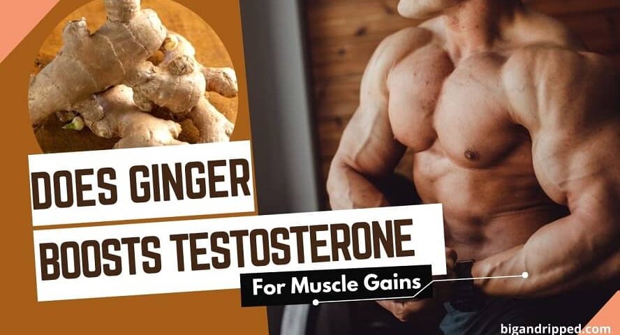 Does Ginger Increase Testosterone