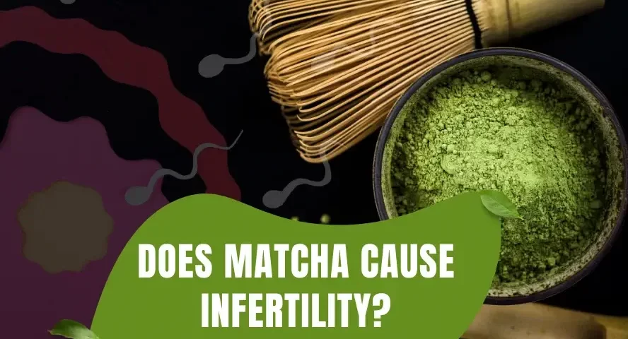 does matcha cause infertility