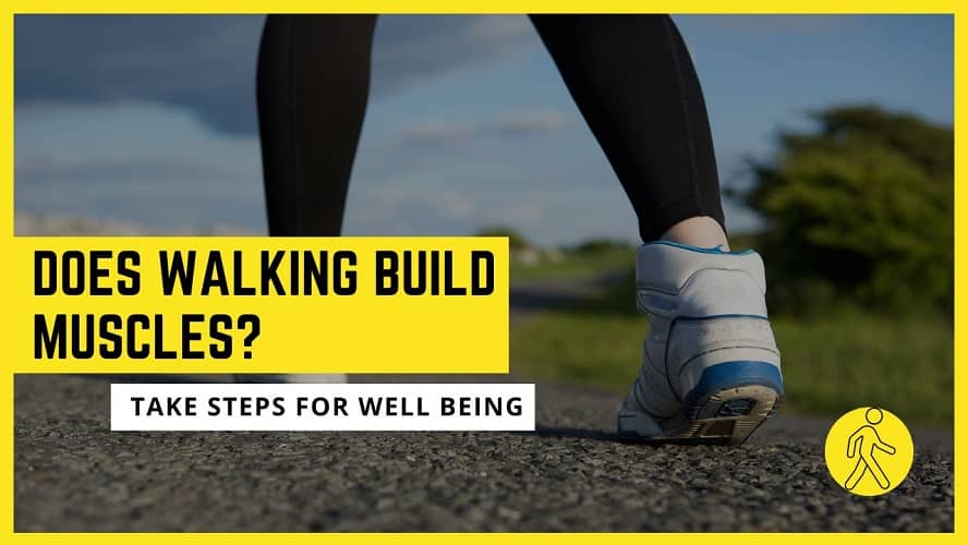 Is Walking Helps in Muscle Building? Things You Should Know