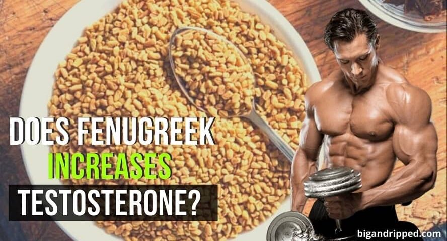 Does Fenugreek Increase Testosterone