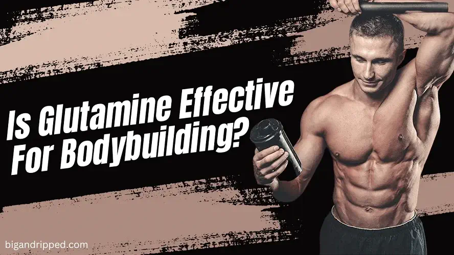 Glutamine for Bodybuilding- Is It Effective? A Complete Guide