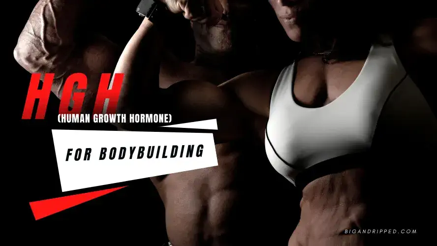 HGH bodybuilding