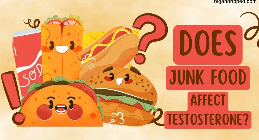does junk food affect testosterone