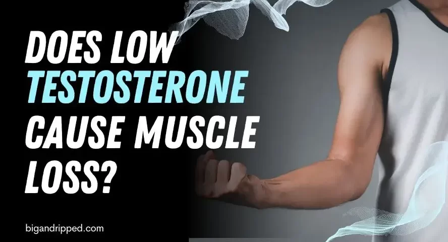 does low testosterone cause muscle loss
