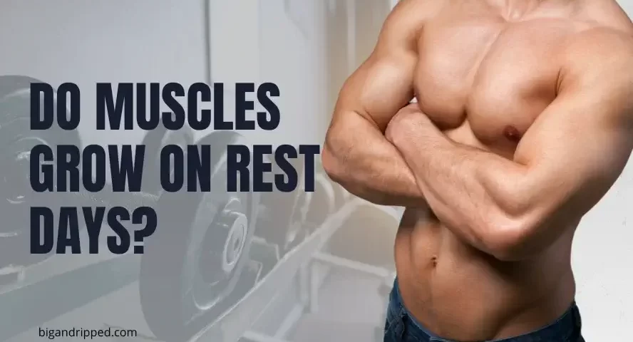 do muscles grow on rest days