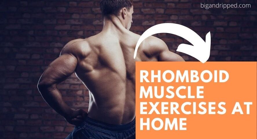 Rhomboid Muscle Exercises at Home