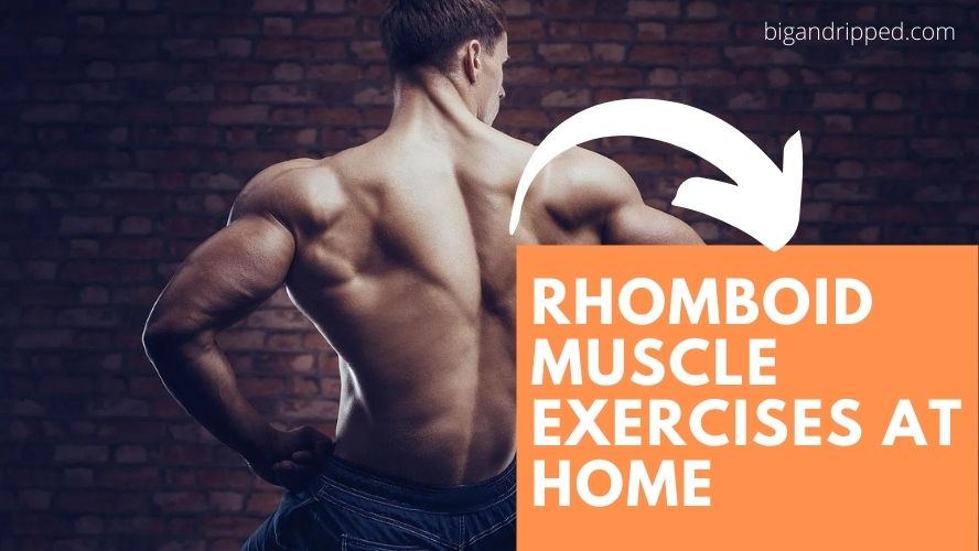 Rhomboid Muscle Exercises at Home