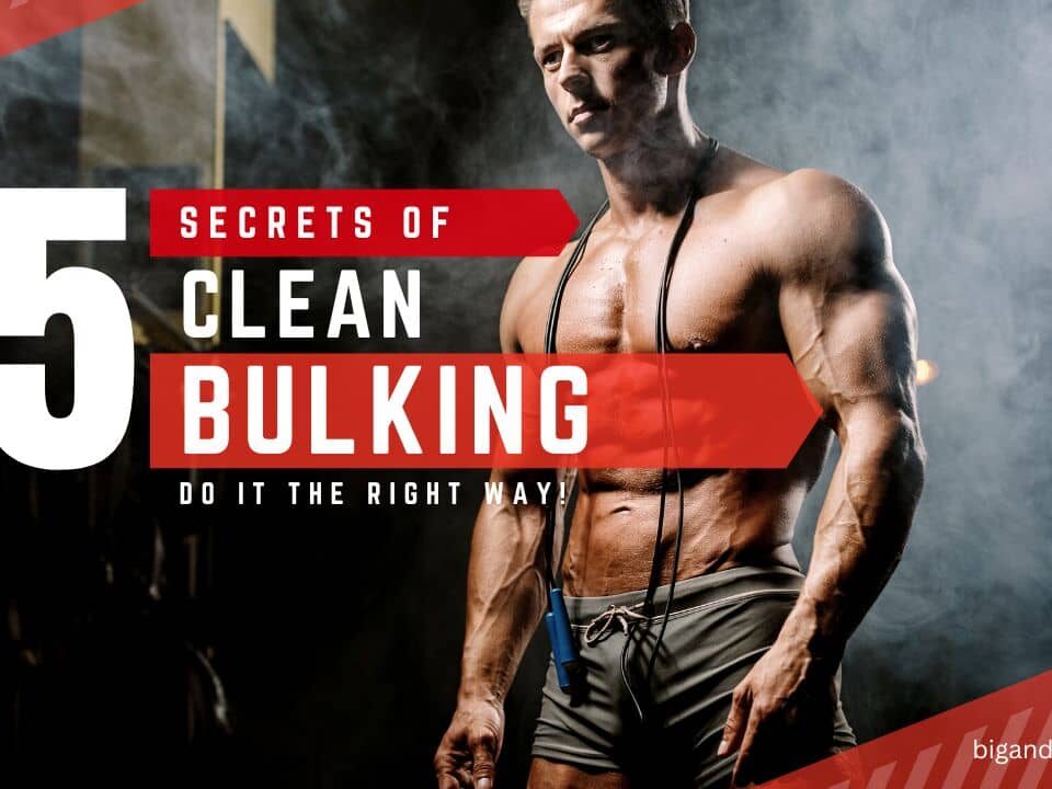 clean bulking