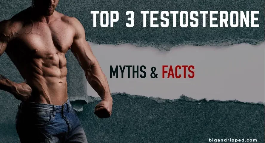 Top 3 Testosterone Myths Busted Stop Using These Strategies