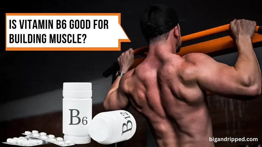 Is Vitamin B6 Good For Building Muscle Your Ultimate Guide