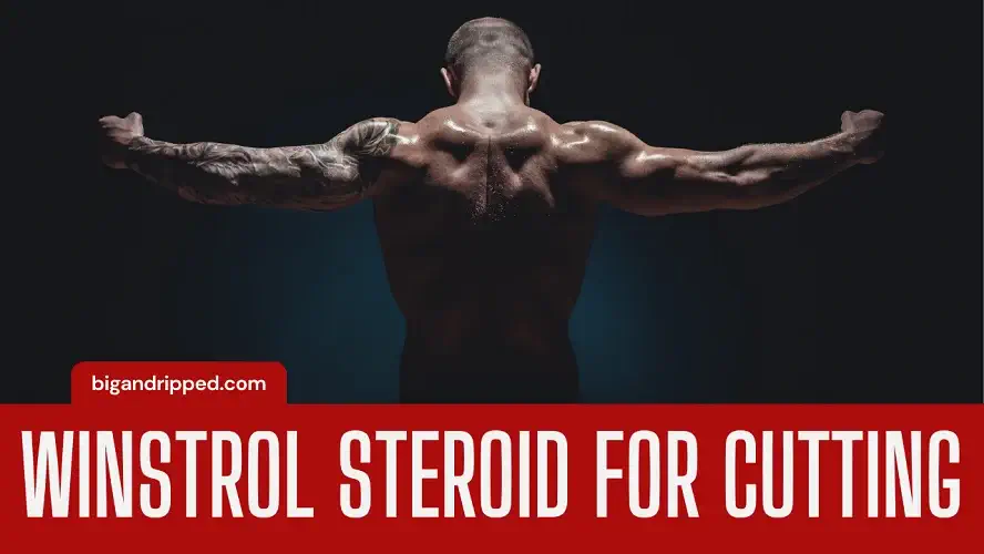 winstrol steroid